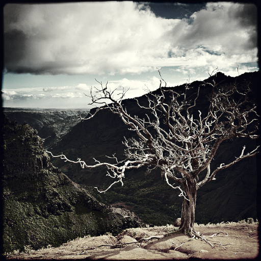 Variation 3