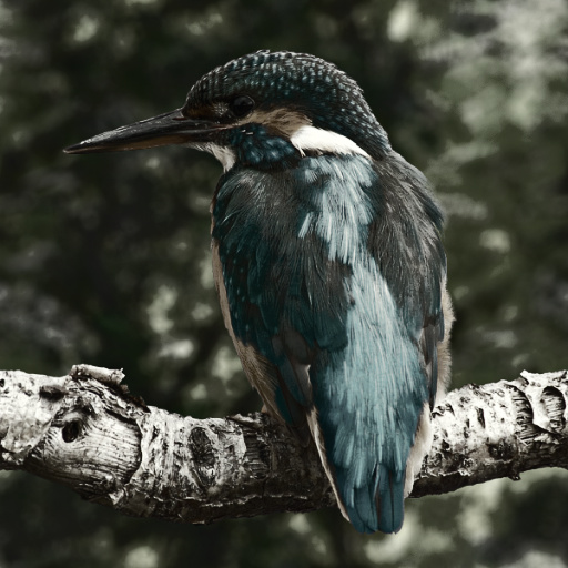 Variation 6