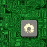 Circuit Board w/ Chip