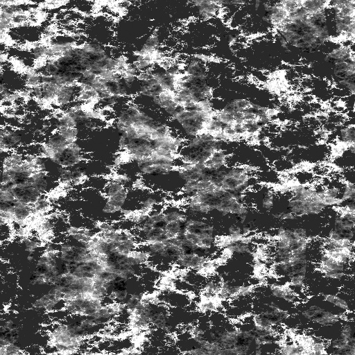 Bump Map