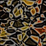 zxc Ditrositon