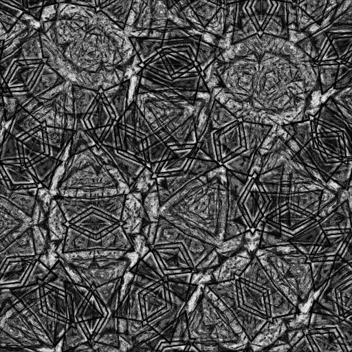 Ambient Occlusion Map