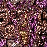 zxc Chaos
