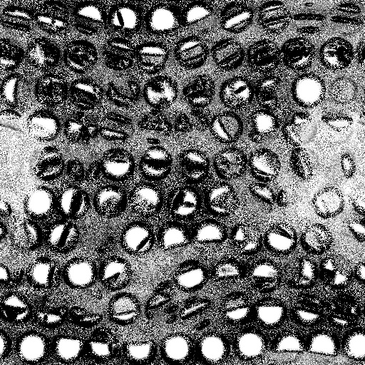 Ambient Occlusion Map