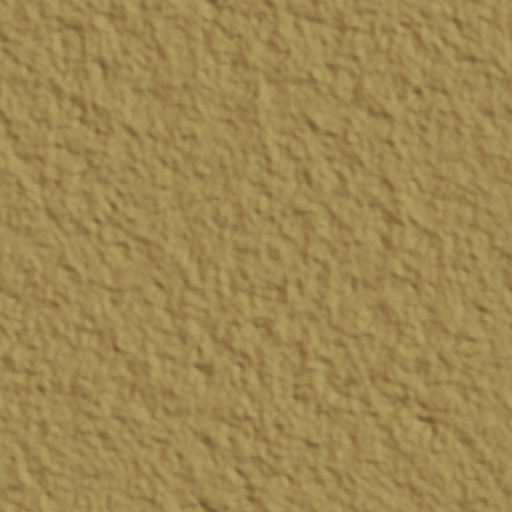 Coy's Cake 3 (Texture)