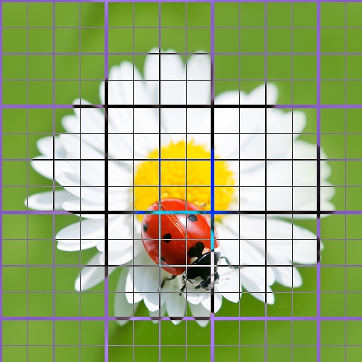 Variation 1