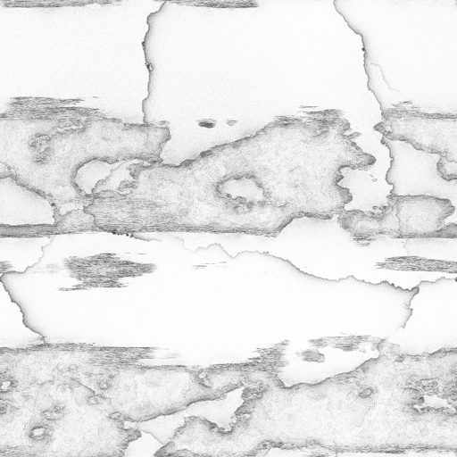 Ambient Occlusion Map