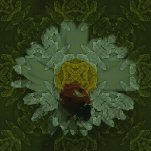Variation 6