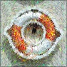 Impressionist Twist