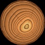 Toon Tree - Cartoon circles