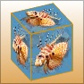 Image Cube