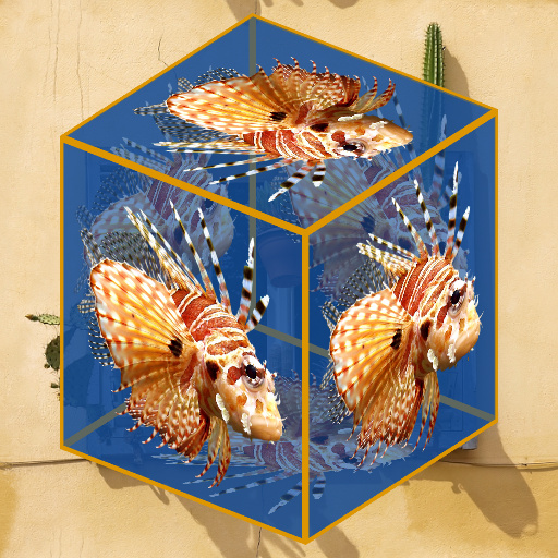 Variation 5
