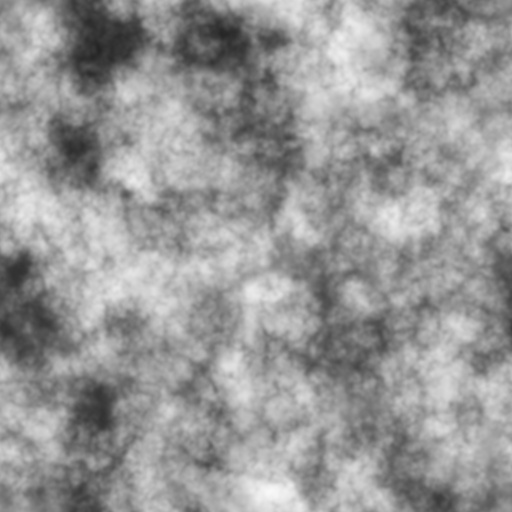 Bump Map