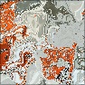 Fluid