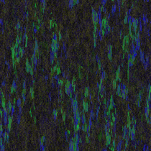 Variation 7
