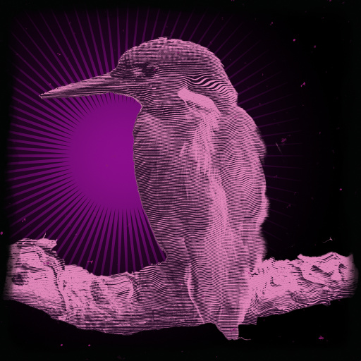 Variation 7