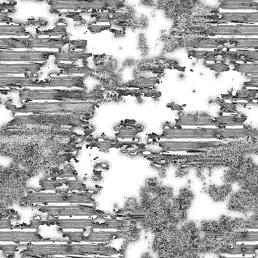 Ambient Occlusion Map