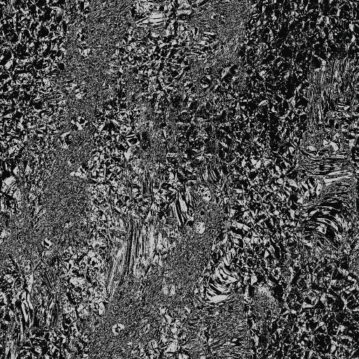 Diffuse Map