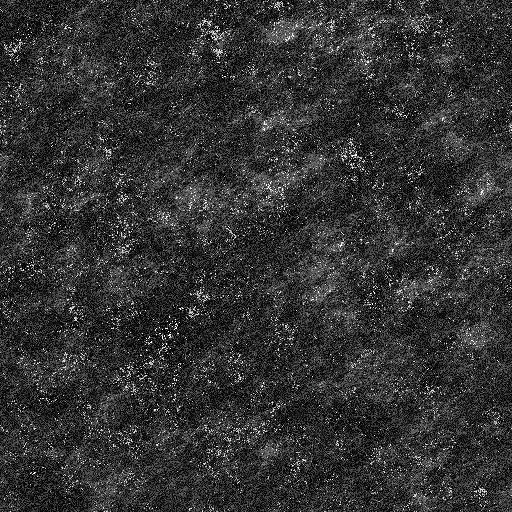 Ambient Occlusion Map