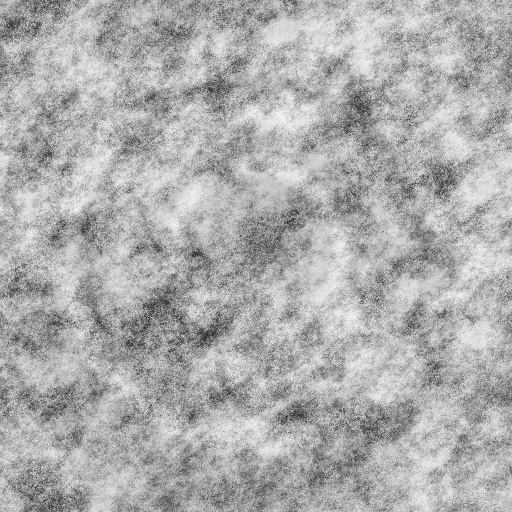 Bump Map