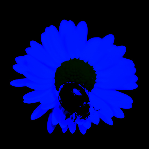 Variation 5