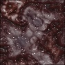 Alien Organics