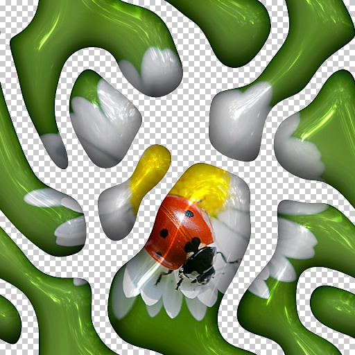 Variation 7