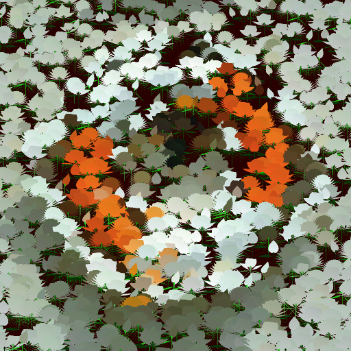 Variation 5