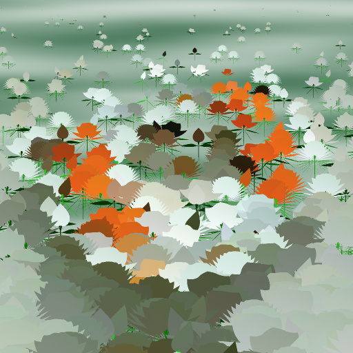 Variation 7