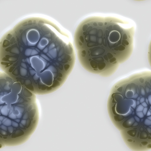 Variation 7