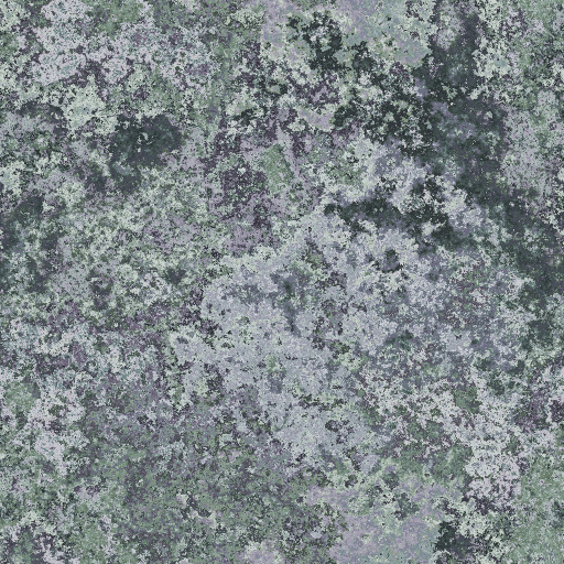 Variation 7