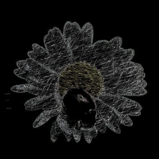 Variation 4