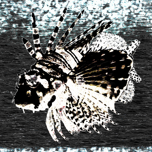 Variation 5