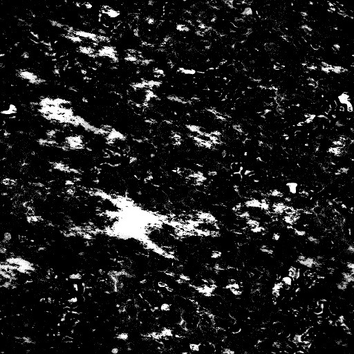 Reflective Occlusion Map