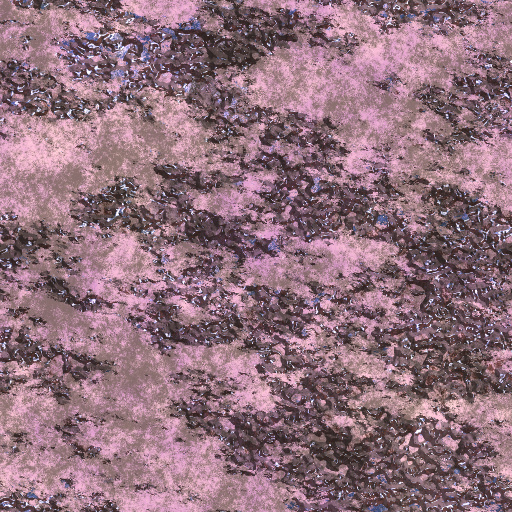 Variation 5