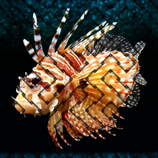 Variation 1