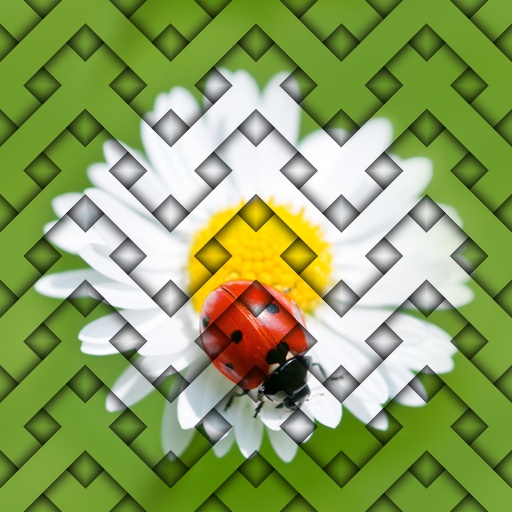Woven Image (Effect)