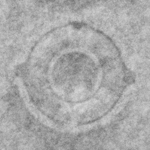 Bump Map