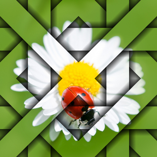 Variation 5