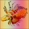 Distorted Gradients