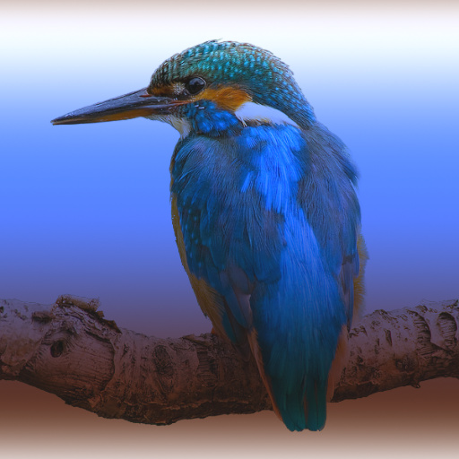 Variation 1