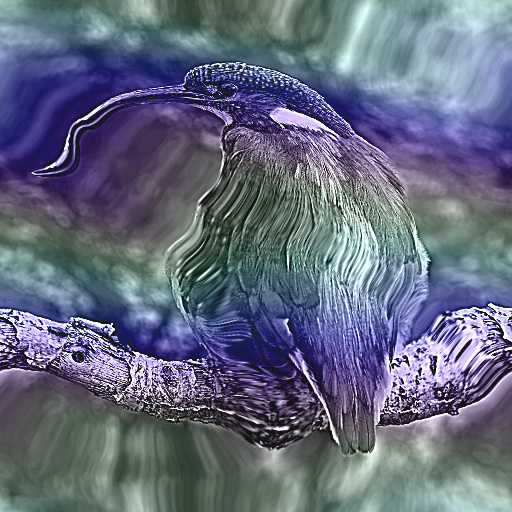 Variation 7