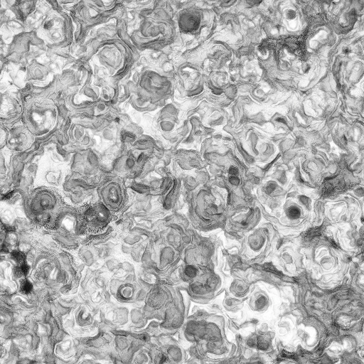 Ambient Occlusion Map