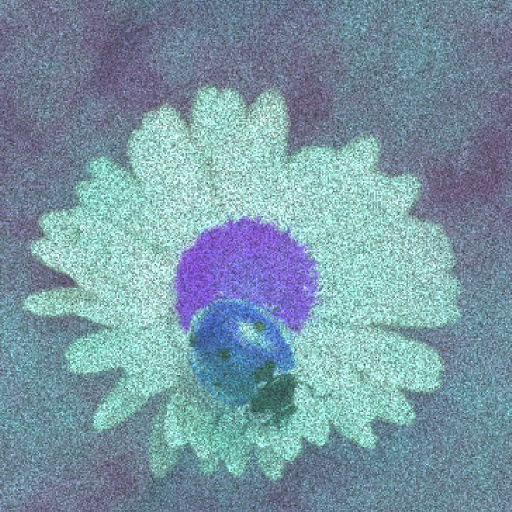 Diffuse Map
