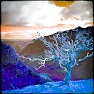 ColorBurst