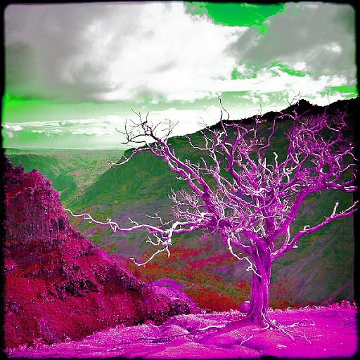 Variation 2