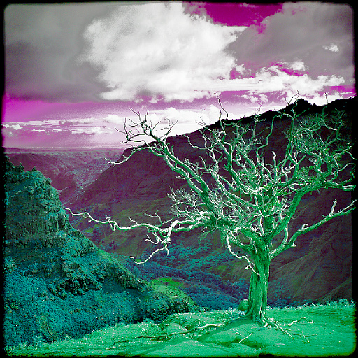 Variation 3