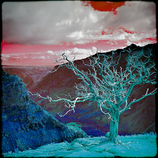Variation 6