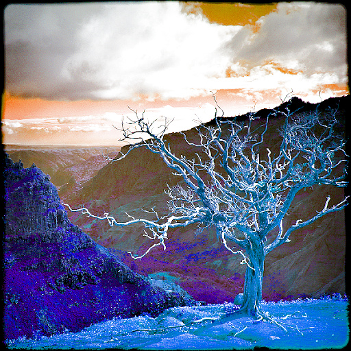 ColorBurst (Effect)