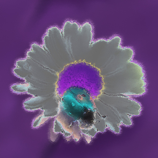 Variation 7